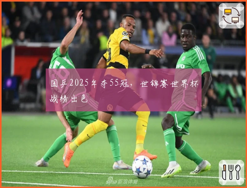 国乒2025年夺55冠，世锦赛世界杯战绩出色